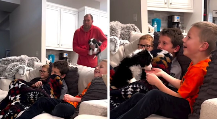 Padre regala un cucciolo ai suoi tre figli, ma ognuno ha reazioni diverse: le cattura in un video