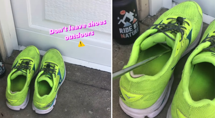 Att lämna skorna utanför: "ingen bra idé"