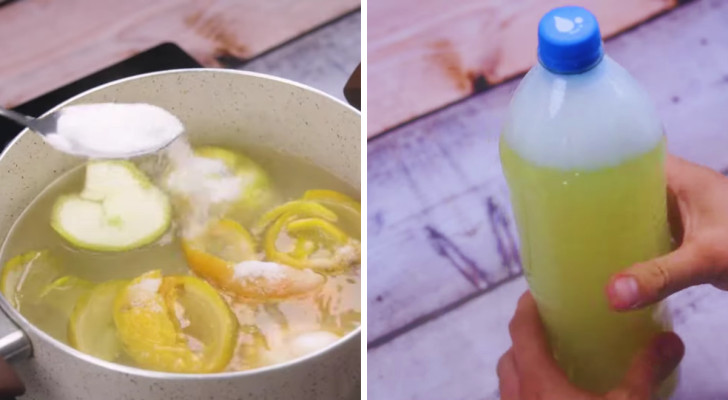 DIY detergent made with orange peels and salt