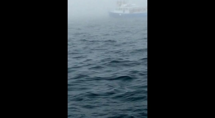 Ils filment l'océan mais à 0:08 ils assistent à un moment qu'ils n'oublieront JAMAIS!