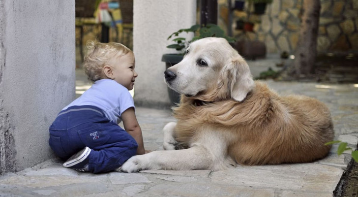 Quali sono i migliori cani per le famiglie con bambini: la guida per una buona convivenza