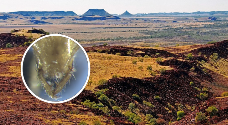 En ny läskig varelse har upptäckts på en av de äldsta platserna på Jorden