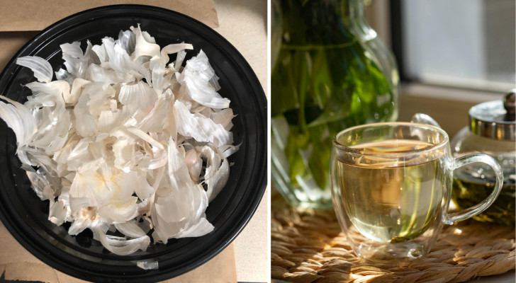 Still throwing away garlic skins? Rather use them to make these valuable products