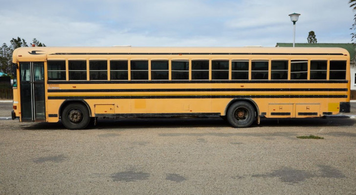 Diverse schoolbussen met de kenmerkende gele en zwarte zijstrepen