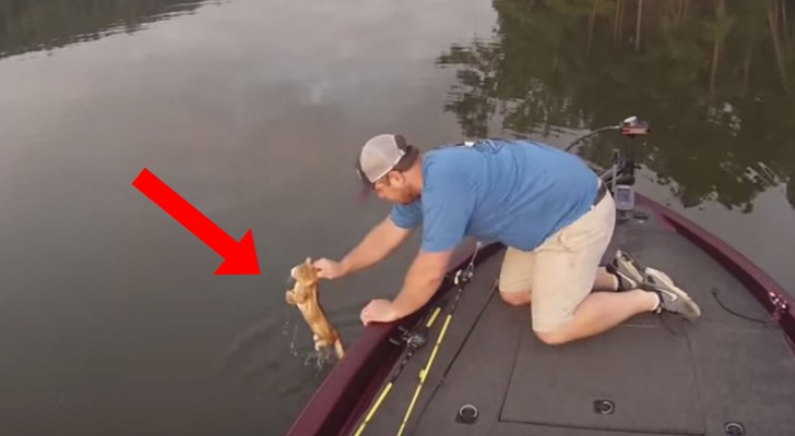 He goes out on his boat, but look what he pulls out of the water ...