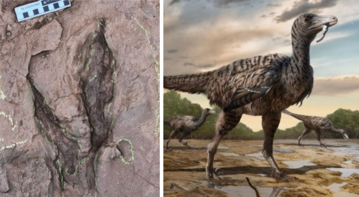 Die Fußabdrücke des neuen Dinosauriers, der in China entdeckt wurde, und eine künstlerische Rekonstruktion von ihm