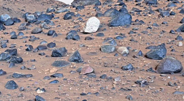 Het vreemde, lichtgekleurde rotsblok gevonden door Perseverance op Mars