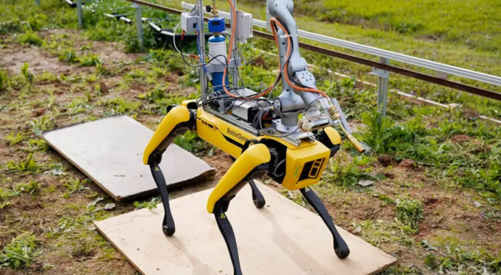 De robot Spot van Boston Dynamics is aangepast om onkruid te bestrijden