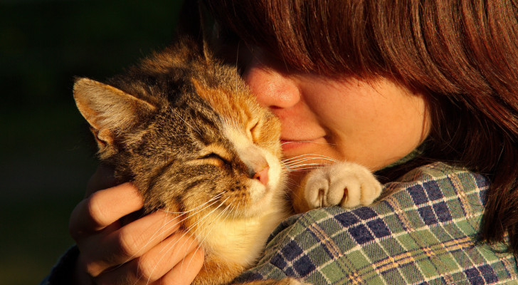 Primo piano di gatto in braccio a una donna che lo coccola