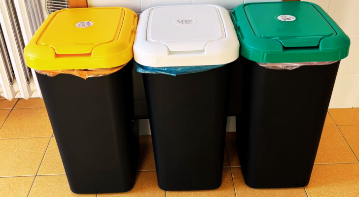 waste receptacles for separated waste collection