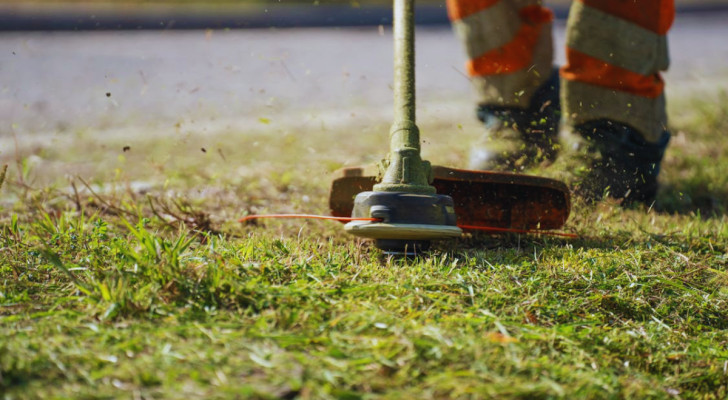 a brush cutter being used in a garden