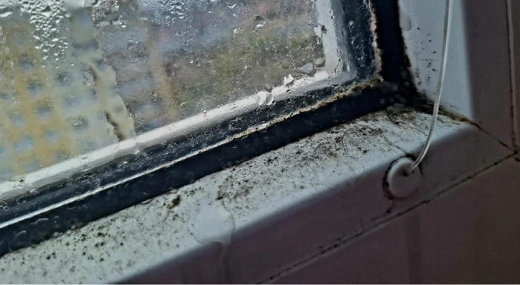 Condensation and mold stains around a window frame