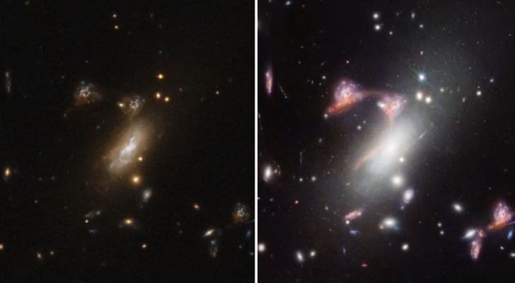 De cluster van sterrenstelsels met zwaartekrachtlenzen MACS-J0417.5-1154, gezien door Hubble en JWST