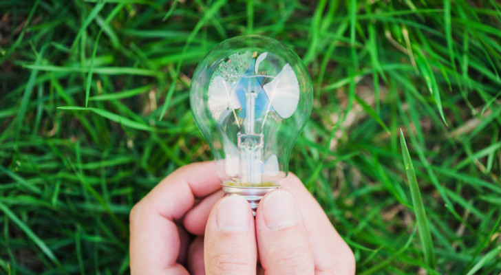 a hand-held light bulb being used in a garden