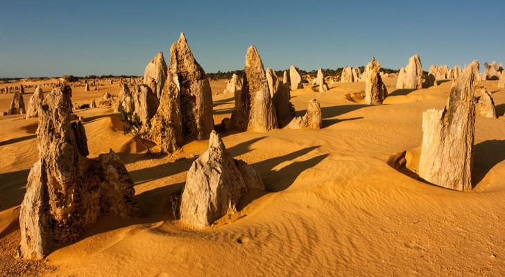 Die Felsformationen, die die Pinnacles Desert definieren, haben einen mysteriösen Ursprung, aber jetzt wissen wir, welchen