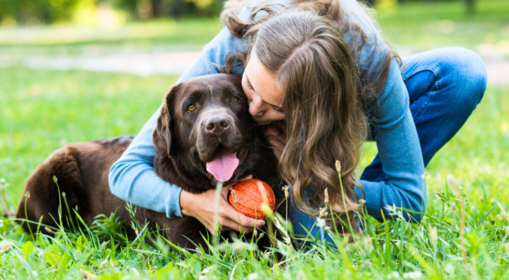 Donna abbraccia un grosso cane marrone su un prato tenendo in mano una pallina