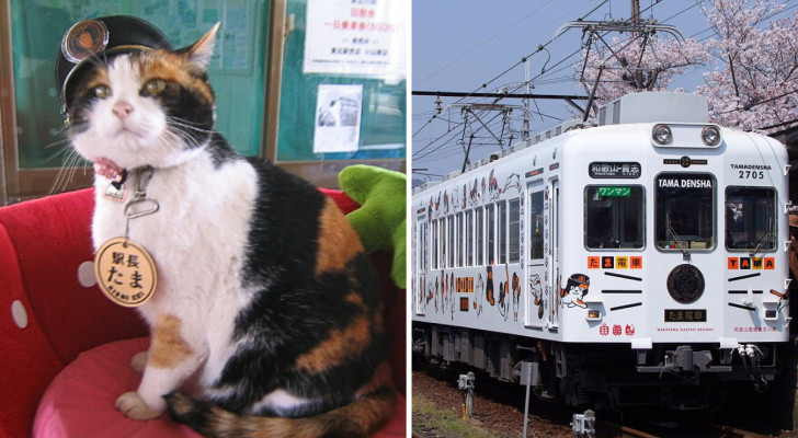 A sinistra, Tama , capostazione della stazione di Kishi, Giappone. A destra, Il treno "Tama Densha"