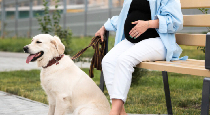 Donna incinta seduta su una panchina e il suo cane labrador