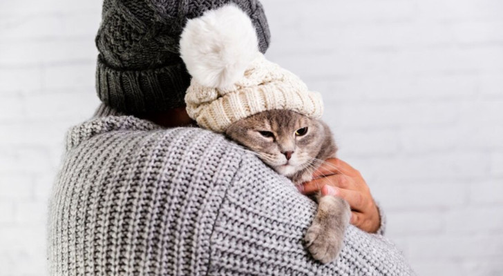 Anche le coccole possono aiutare il gatto a sentire meno freddo