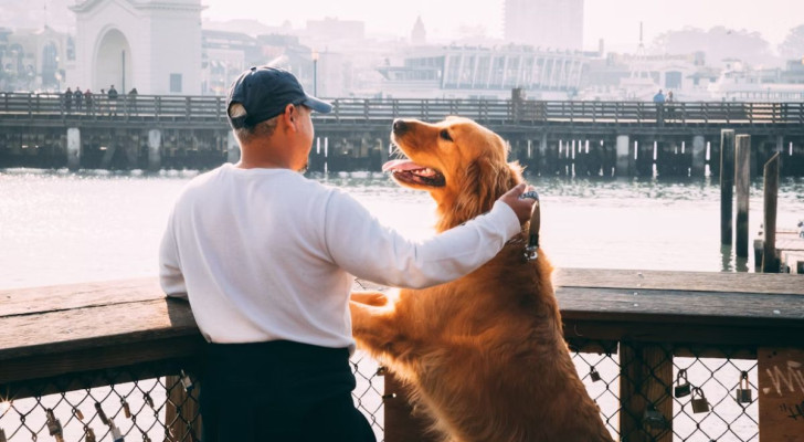 La compagnia degli esseri umani potrebbe dirci come saranno i cani del futuro