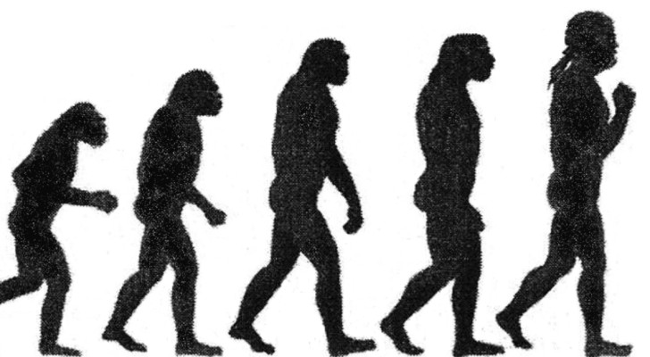 Una rappresentazione dell'evoluzione umana