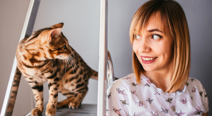 Un gatto e una donna si guardano