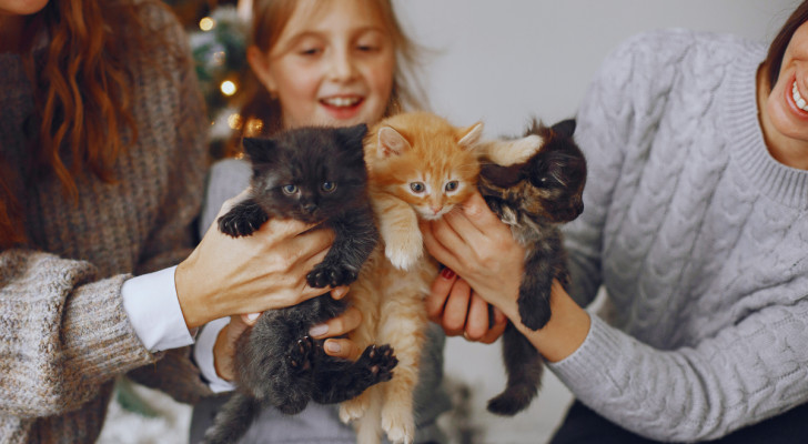 due donne e una bimba che insieme tengono in braccio tre gattini di colori diversi, con un albero di natale che si intravede alle spalle