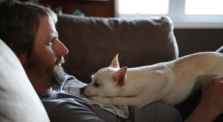 Cane accanto a un uomo disteso sul divano