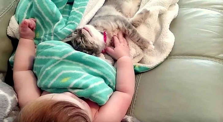 Mommy filmes them while they're sleeping, but when they wake up is even better!