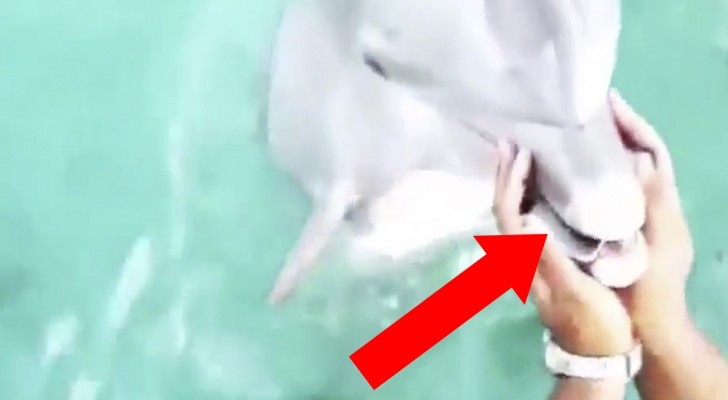 She drops her iPhone in the sea, but SOMEONE "rescues" it ... You won't believe it!