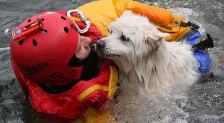 Un cane ringrazia il pompiere che lo ha salvato: ecco chi sono i veri eroi