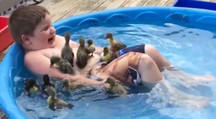 This child taking a bath with some ducklings, is perhaps the happiest kid in the world !