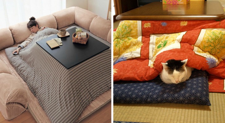 Vi piace oziare sul divano? Questa invenzione giapponese vi cambierà la vita!