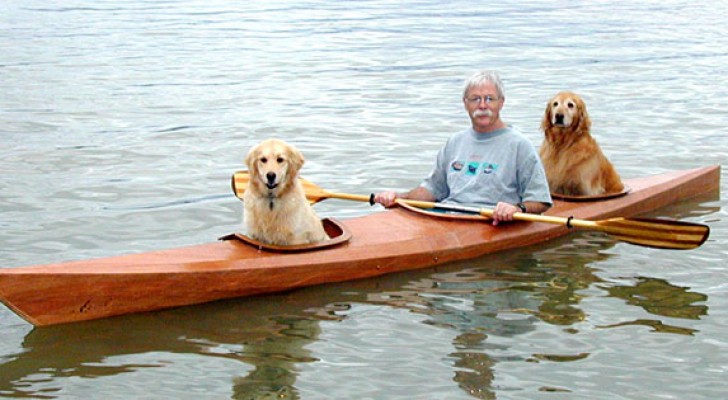 Un homme construit un kayak sur mesure car il ne veut pas laisser ses chiens à la maison