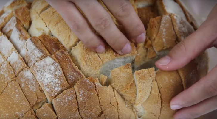 You've got some old bread ? Start cutting it and create this delicious recipe 