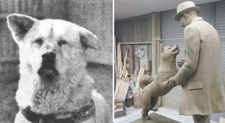 Il attend son maître à la gare pendant 10 ans: voici l'histoire du chien le plus fidèle du monde