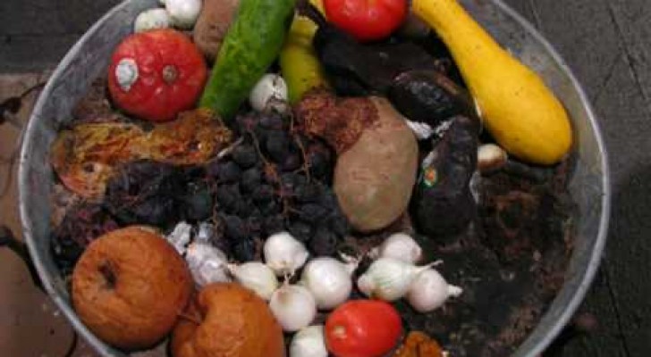 Decomposizione di frutta e vegetali
