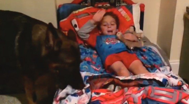 Here's what this child and his dog do every night before going to bed