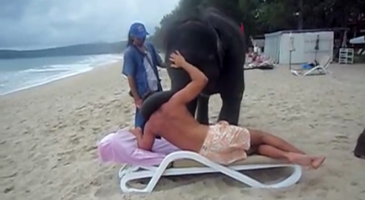 2 elefantini salvati dai bracconieri regalano a un turista un momento che non dimenticherà