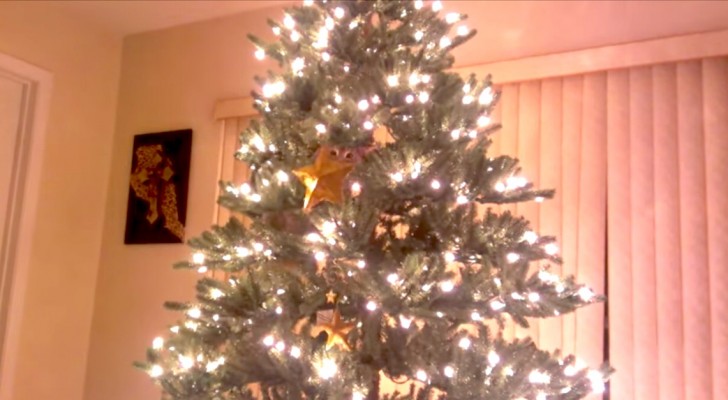 Auf den ersten Blick sieht es wie ein normaler Weihnachtsbaum aus, aber schaut mal genauer hin...