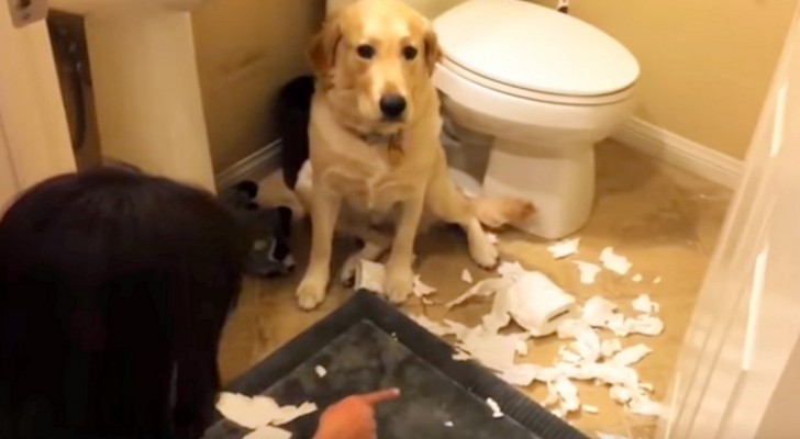 She asks who's responsible for the mess... His "response" will change your day