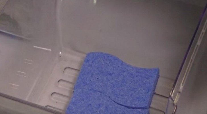 He puts a sponge in the refrigerator, but not to clean it up: you'll love this trick !
