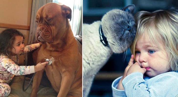25 photos qui peuvent convaincre les parents avec des enfants en bas âge d'adopter un animal de compagnie