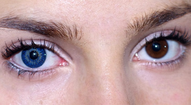 Gli scienziati scoprono che tutte le persone con gli occhi azzurri hanno una cosa in comune