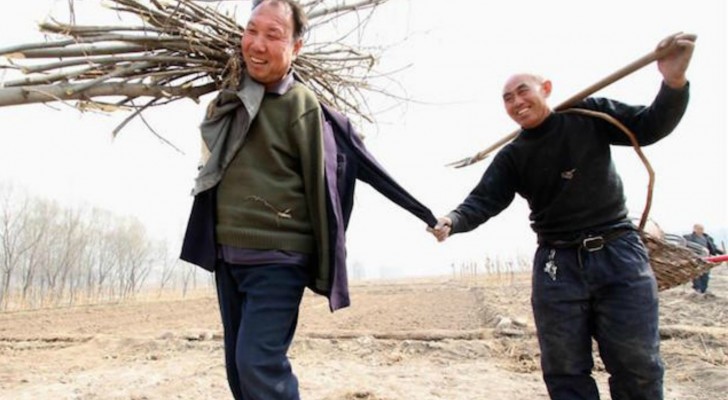 Un uomo senza braccia e l'amico non vedente hanno piantato insieme più di 10 mila alberi