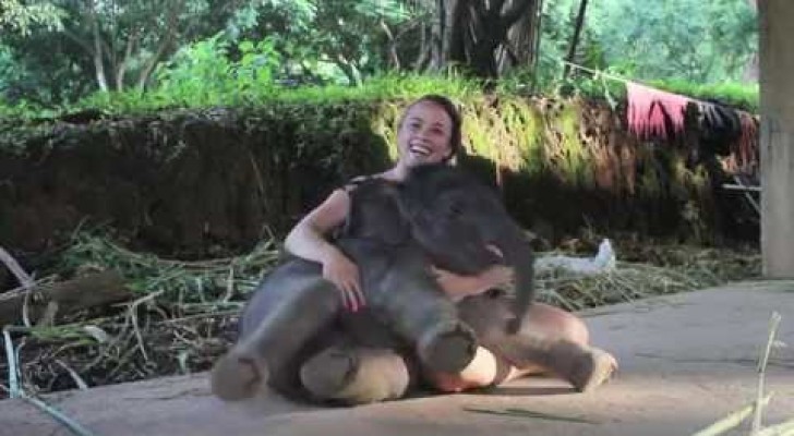 A two weeks old elephant sits next to her and gives her an UNFORGETTABLE moment