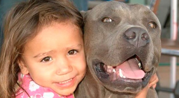 La commovente storia di Zack, il cane che adorava la figlia dei suoi proprietari