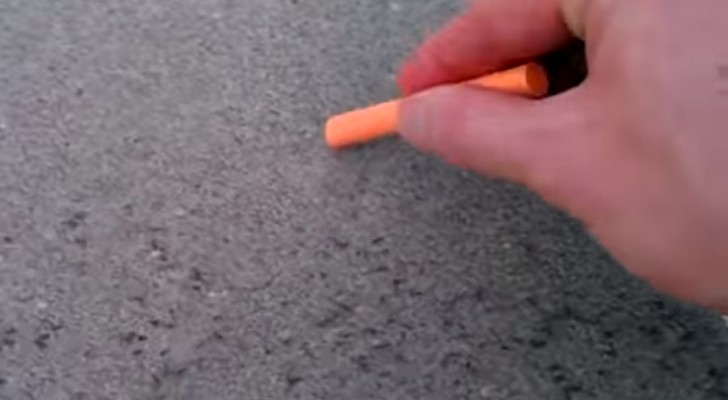 Aqui un modo eficaz para mantener lejanas a las hormigas sin recurrir a pesticidas