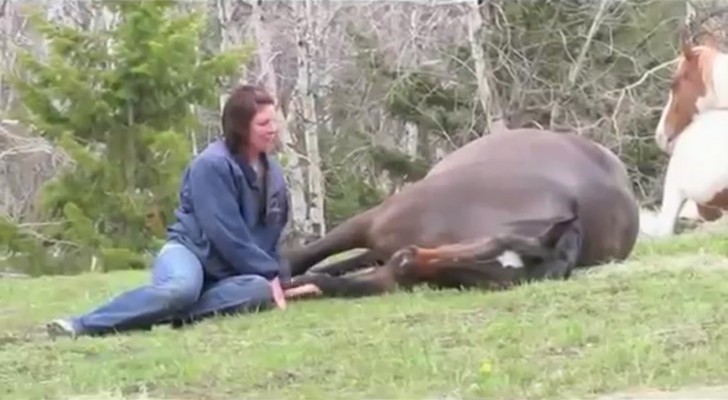 Hon sätter sig på marken nära hästen. Det som händer just efter kommer att få er att häpna