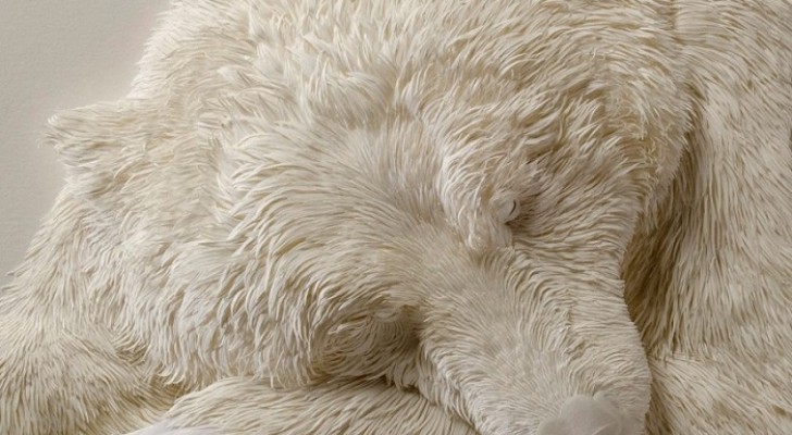 On dirait un ours polaire endormi ... mais le matériau dont il est fait va vous surprendre